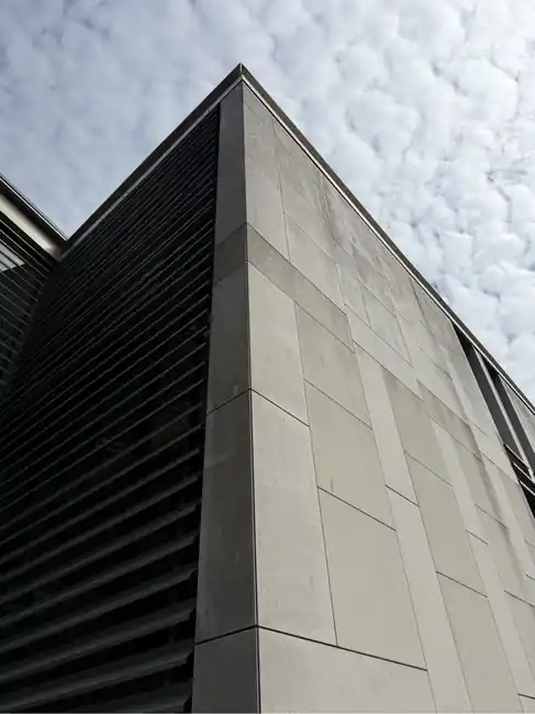 tâches noires sur une façades